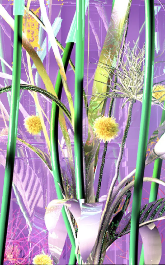 Mapping-Nyma-Astralia-fleurs-Office-Tourisme-Bonifacio-Festi-Lumi-Jesus.S.Baptista.